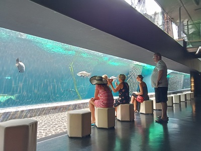 Aquarium Phuket 2